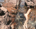 Emily Ratajkowski nude photos from social media