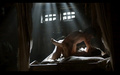 Game of Thrones 2x02 -  Alfie Allen nude scenes