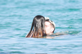 Bella Thorne in bikini fun in Sardinia - August 24, 2019