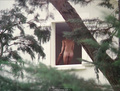 Arielle Dombasle and Rosette nude in Pauline a la Plage (1983)