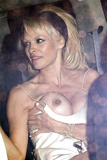 Pamela Anderson Paparazzi (1 New Photo)
