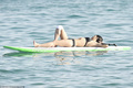 Michelle Rodriguez in a Bikini (7 Photos)
